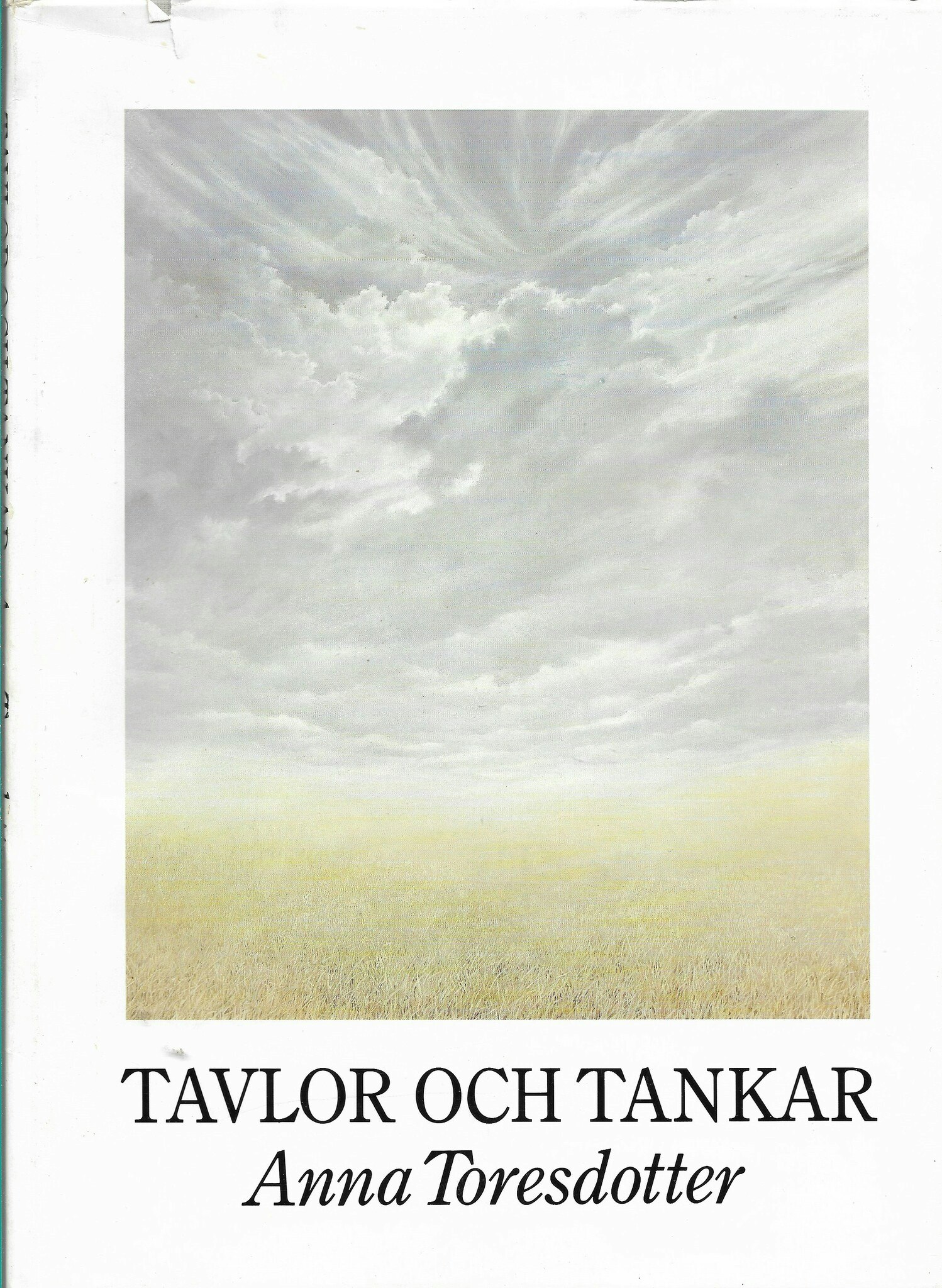 Tavlor och tankar av Toresdotter, Anna