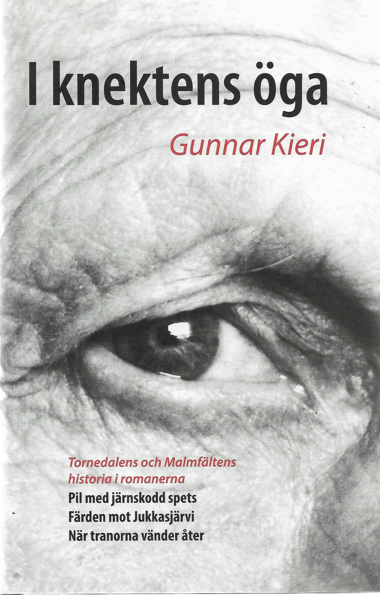 I knektens öga av Kieri, Gunnar