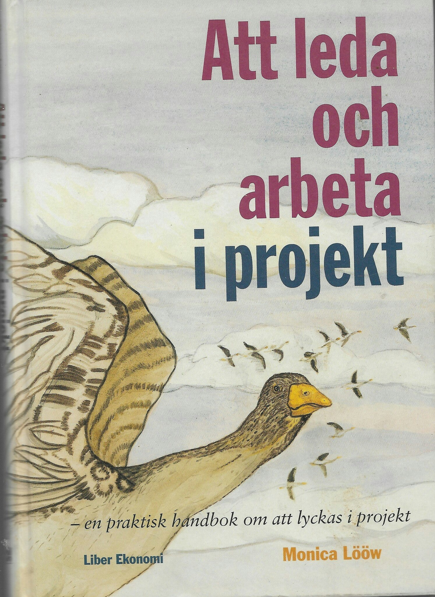 Att leda och arbeta i projekt av Lööw, Monica
