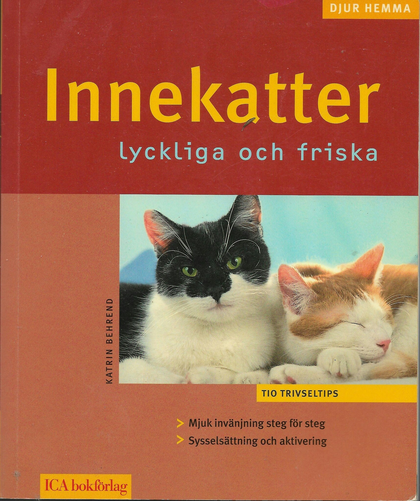 Innekatter : lyckliga och friska av Katrin Behrend