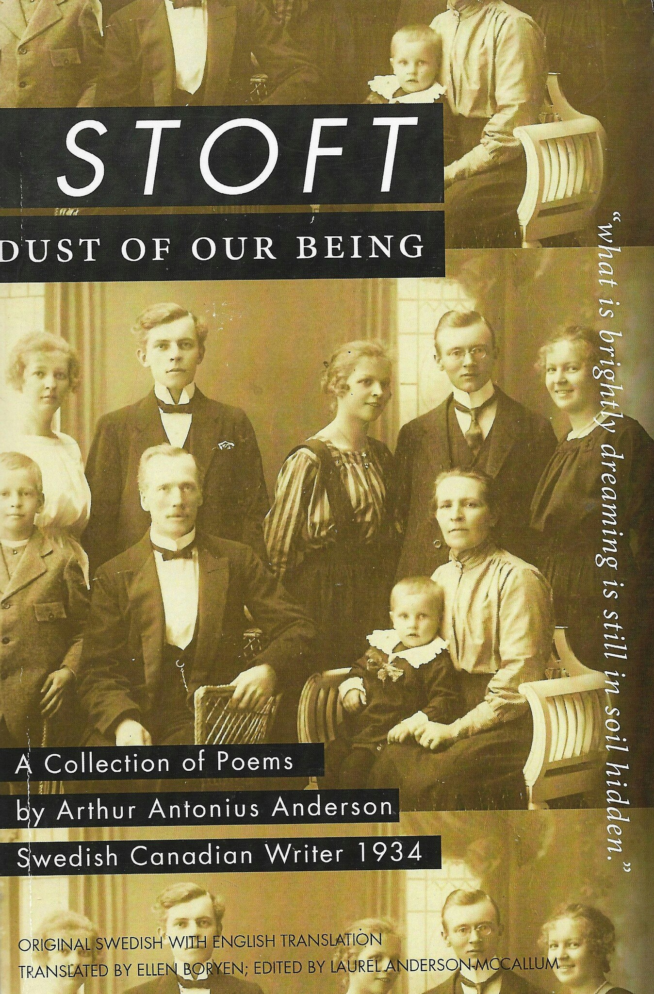Stoft: Dust of Our Being. A collection of poems av Anderson Arthur A.