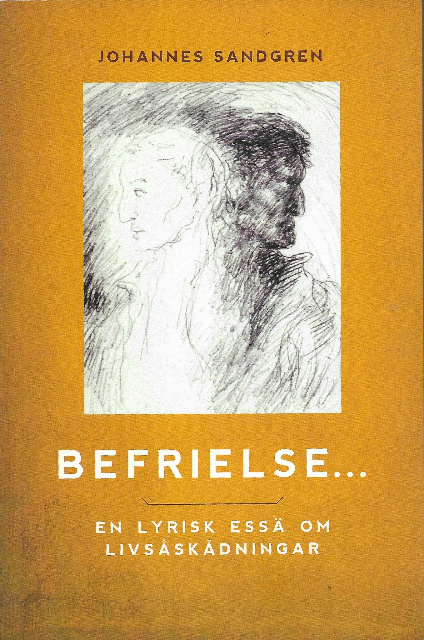 Befrielse... : en lyrisk essä om livsåskådningar av Sandgren, Johannes