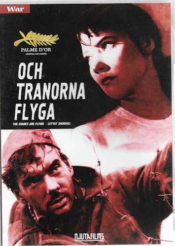 Och tranorna flyga av Mikhail Kalatozov