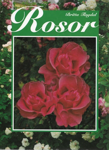 Rosor av Tingdal, Britta