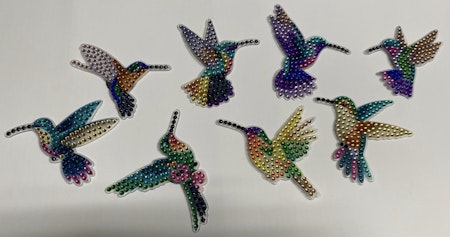 8-pack Kylskåpsmagneter - Kolibris