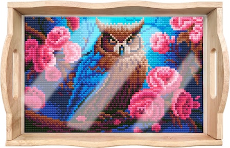 Diamond Painting Serveringsbricka - Uggla