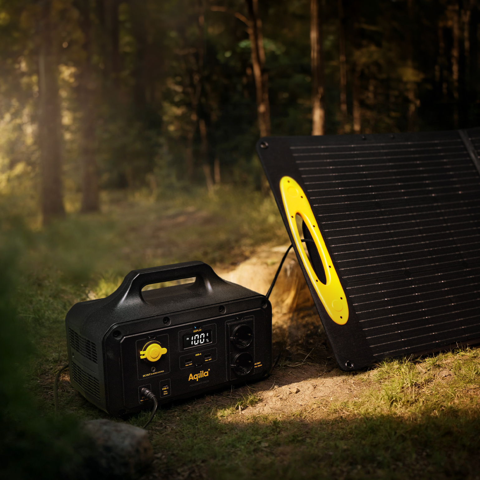 Aqiila powerstation Powerbird S1000