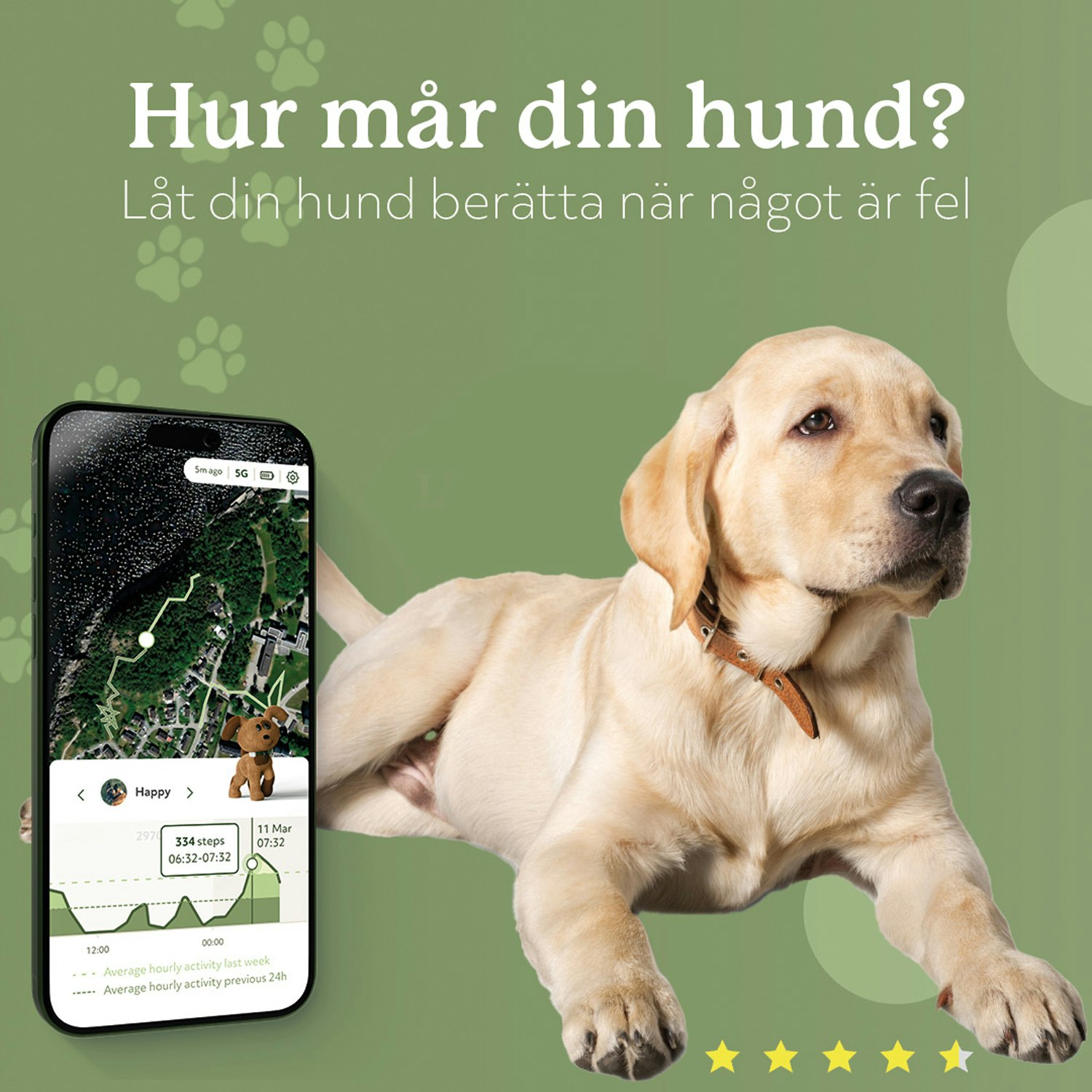 Lildog 2 GPS-Tracker och aktivitetsmätare för Hundar