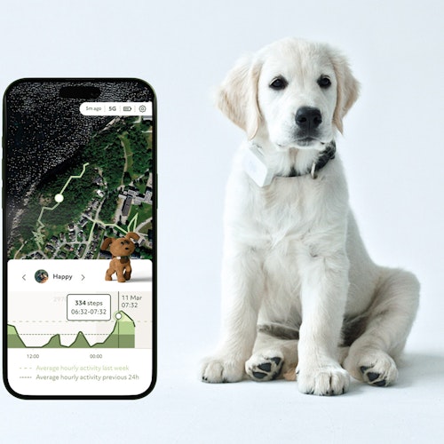 Lildog 2 GPS-Tracker och aktivitetsmätare för Hundar