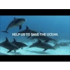 Save The Ocean | Bead Bracelet | Charity