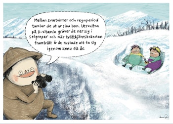 Jämtsafari