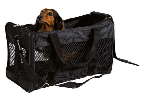 En svart transportväska där en liten hund tittar upp ur väskan.