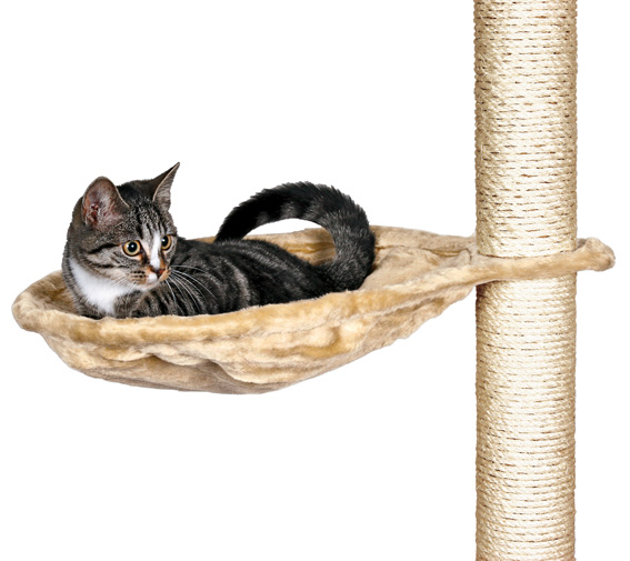 En beige hammock för klösträd. Här ligger en vacker katt och myser.