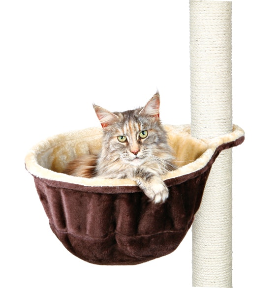 En brun och beige hammock för klösträd. Här ligger en söt liten katt.
