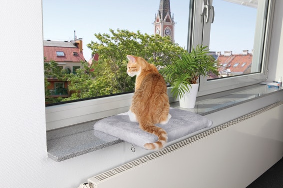 En grå fönsterbädd för katter. Här sitter en orange liten söt katt och tittar ut genom fönstret.