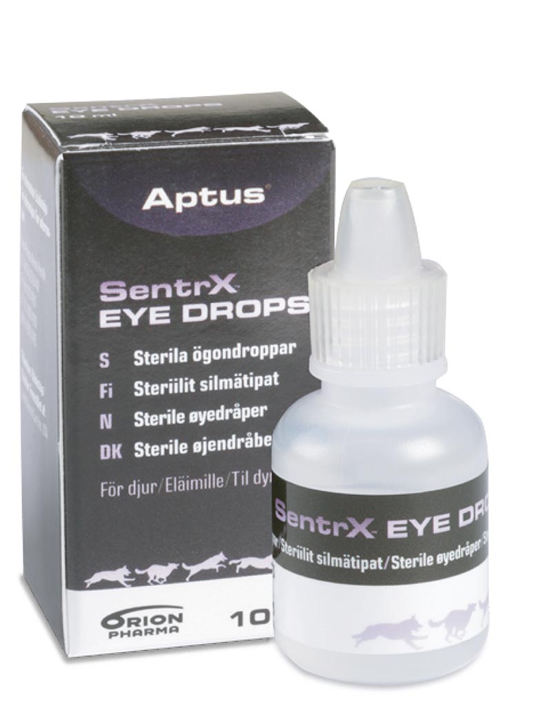 SentrX Eye Drops - ögondroppar för katter och hundar.