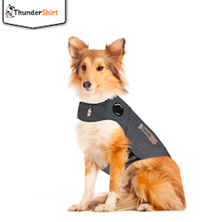 Thundershirt Hund | 5 Storlekar