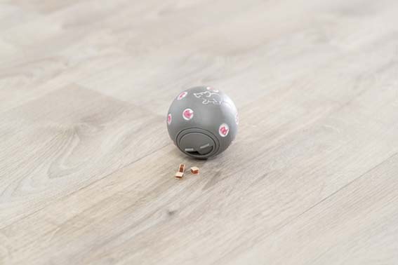 En grå snacksboll på golvet med lite godis framför.