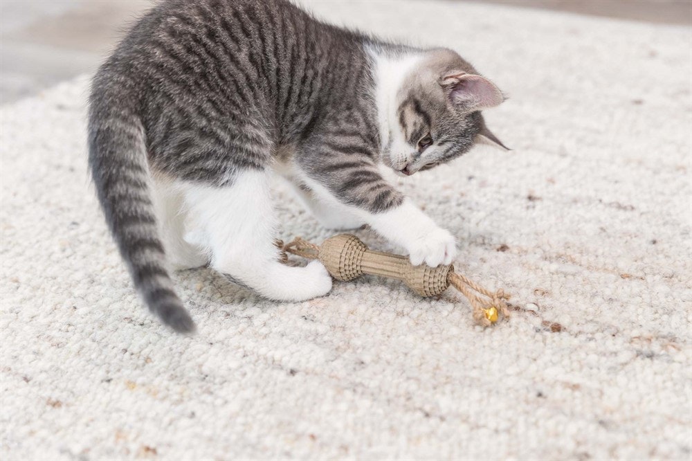 En katt som leker med en kattleksak i wellpapp/hampa.
