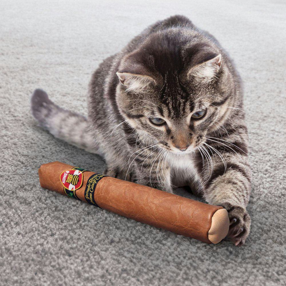 En katt som leker med en kattleksak formad som en cigarr.