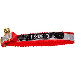 Halsband med reflex, adressflik, bjällra och texten "I Belong To"