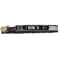 Halsband med reflex, adressflik, bjällra och texten "I Belong To"