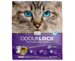 Intersand Odour Lock Lavender Field - 6 kg