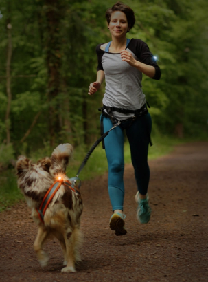 Orbiloc K9 Active Pack som sitter på en springande hund och människa.