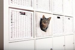 Kattgrotta Cuddly för IKEA-hylla, plysch, ljusgrå