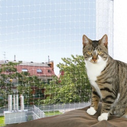 Kattnät Transparent - Olika storlekar