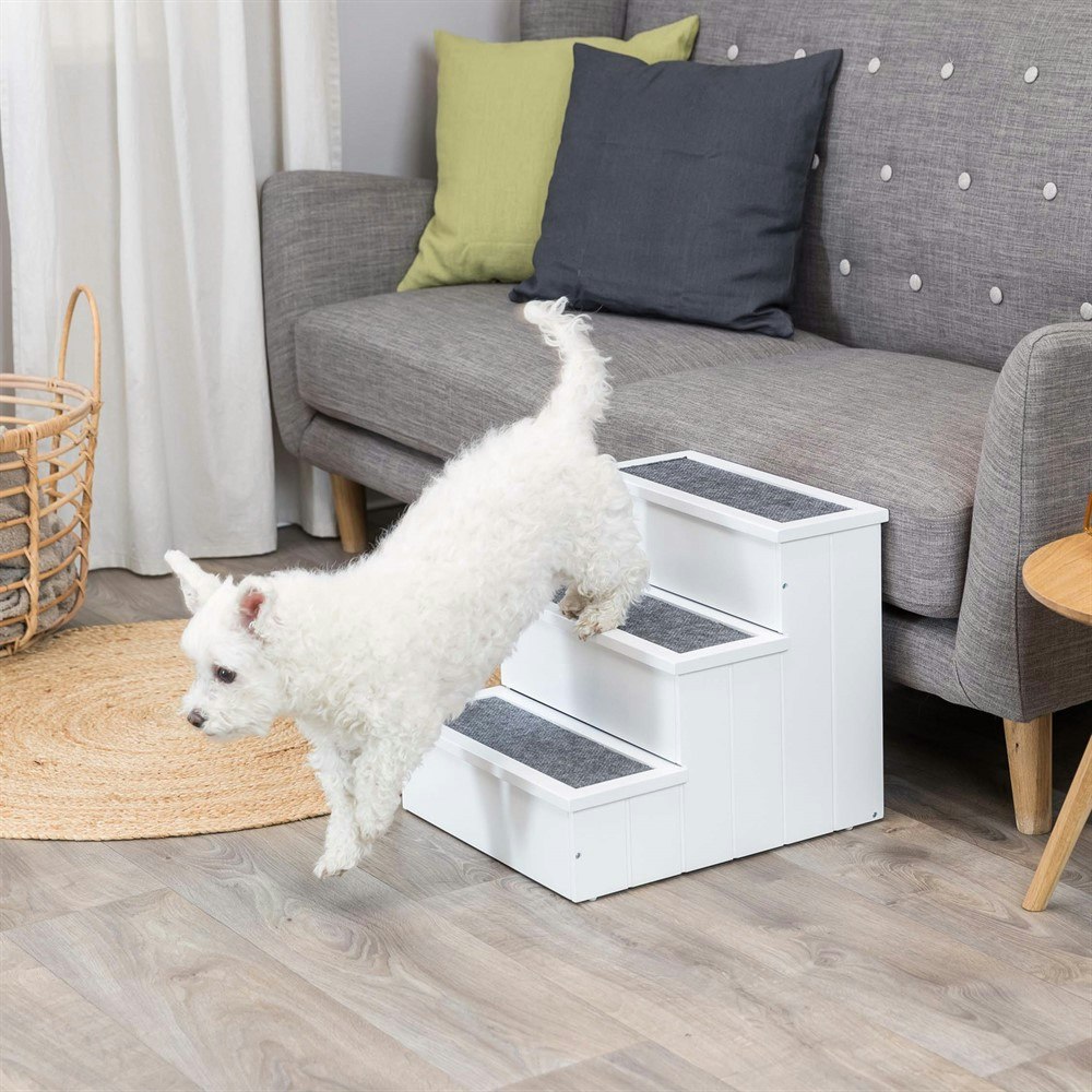 En liten vit hund som går nedför en vit hundtrappa.