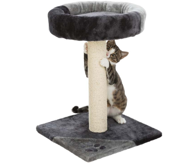 En katt som klöser på en klöspelare. Högst upp är en gullig liten kattsäng.
