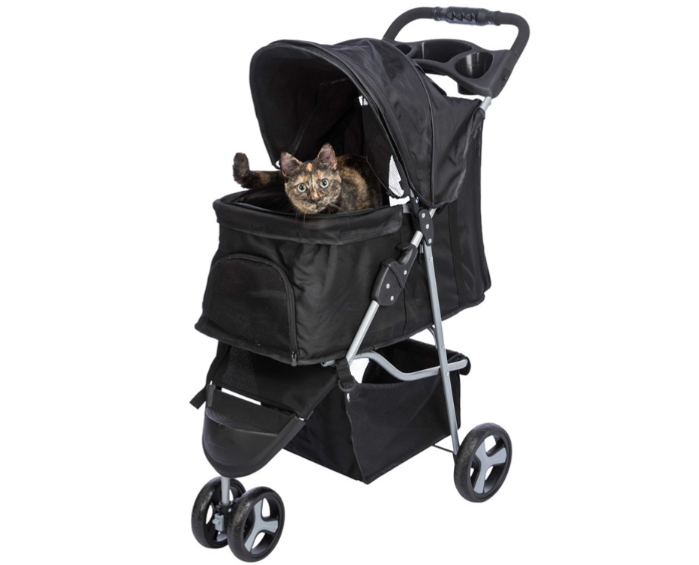 En liten katt som sitter i en svart djurvagn.