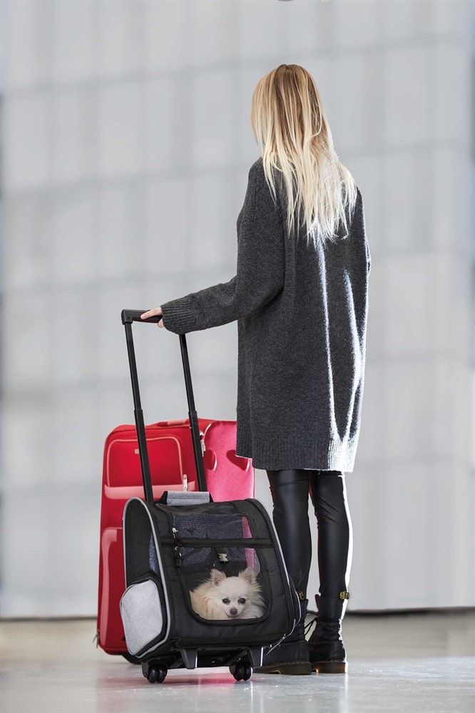 En kvinna som kör på transportväskan med en liten katt på insidan.