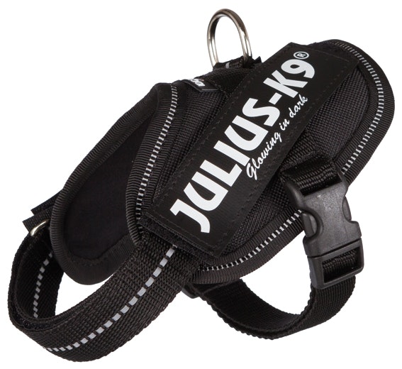 Julius-K9® IDC Hundsele - Många storlekar