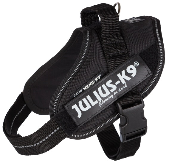 Julius-K9® IDC Hundsele - Många storlekar