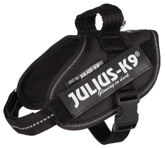 Julius-K9® IDC Hundsele - Många storlekar
