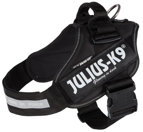Julius-K9® IDC Hundsele - Många storlekar
