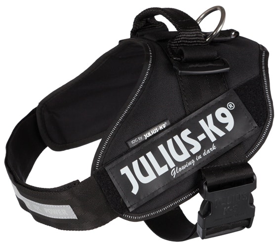 Julius-K9® IDC Hundsele - Många storlekar