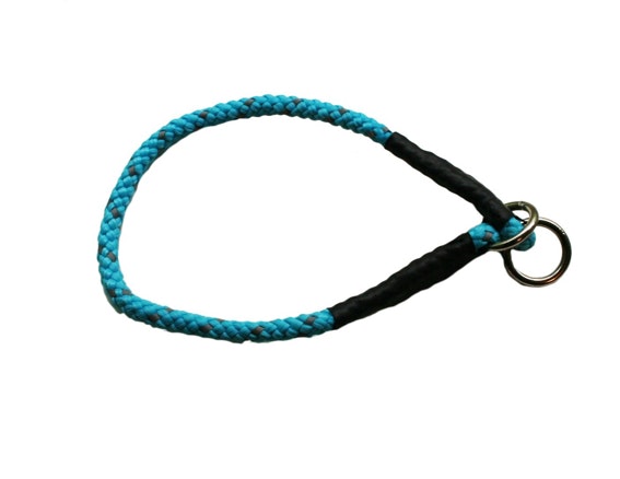 Hundhalsband Dressyrstryp Reflex Azurblå
