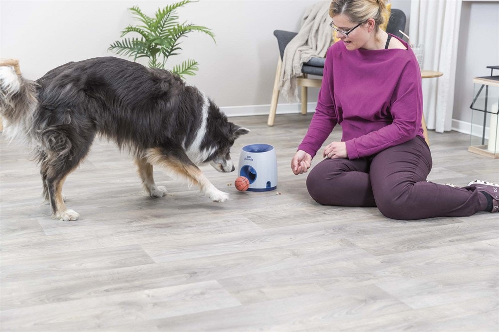 Dog Activity Ball & Treat Nivå 3 - 17 × 18 cm