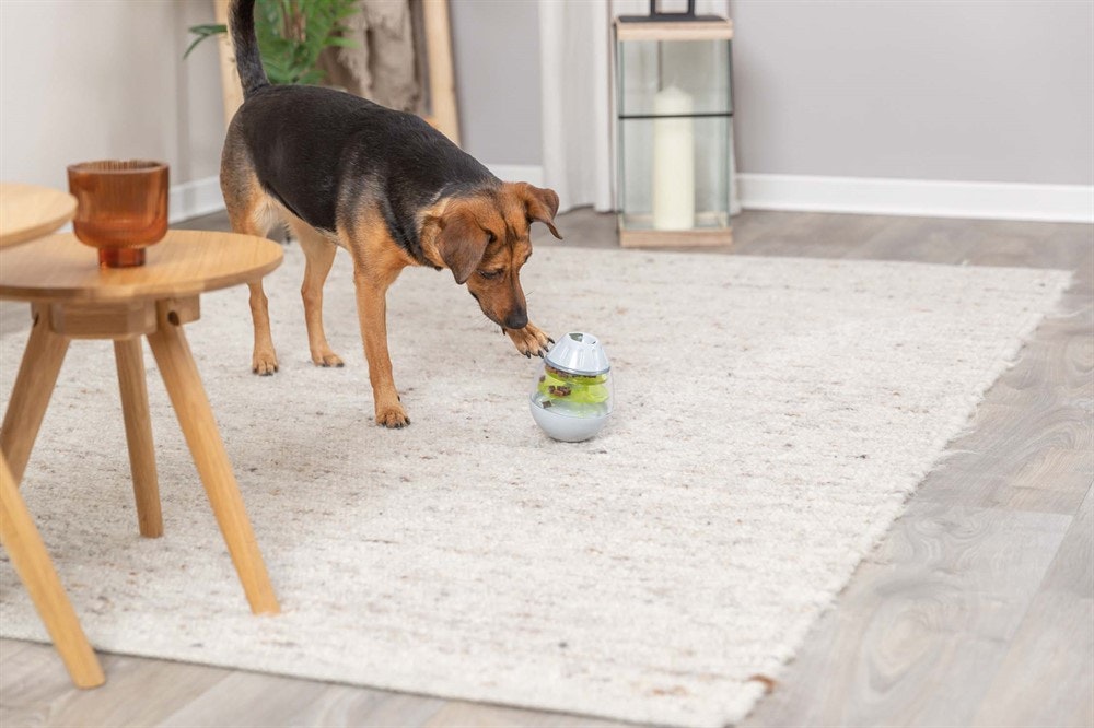 Roly poly snacksägg för hund -13 cm