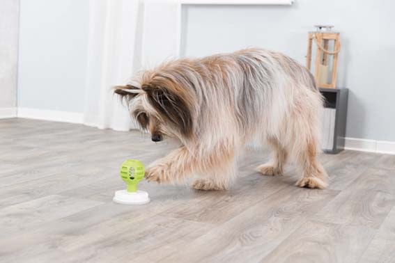 Lick'n'Snack boll med sugkopp - 8-11 cm