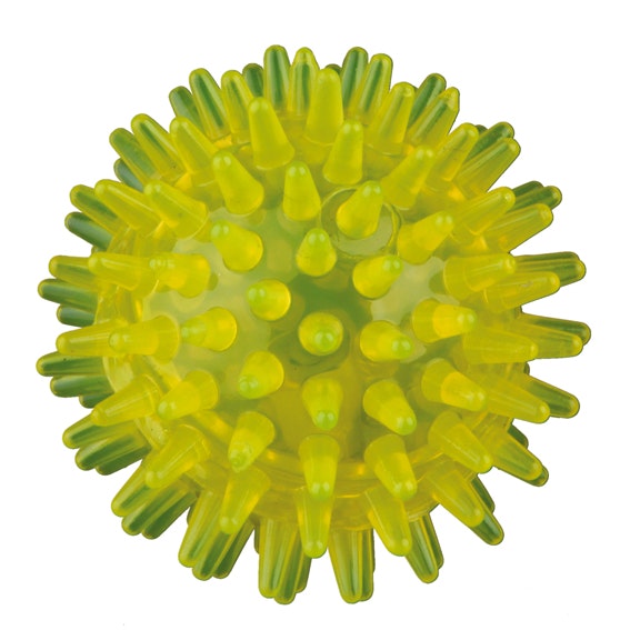 Flashboll Igelkott Flytande Hundleksak - 5 cm