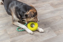 Hundleksak gummidäck på rep - 15/32 cm