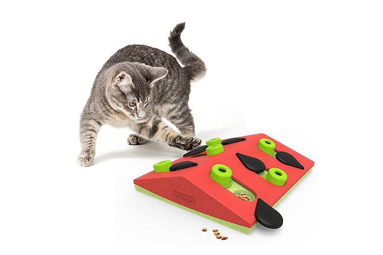 En katt som leker med Petstages Cat Puzzle & Play Melon Madness.