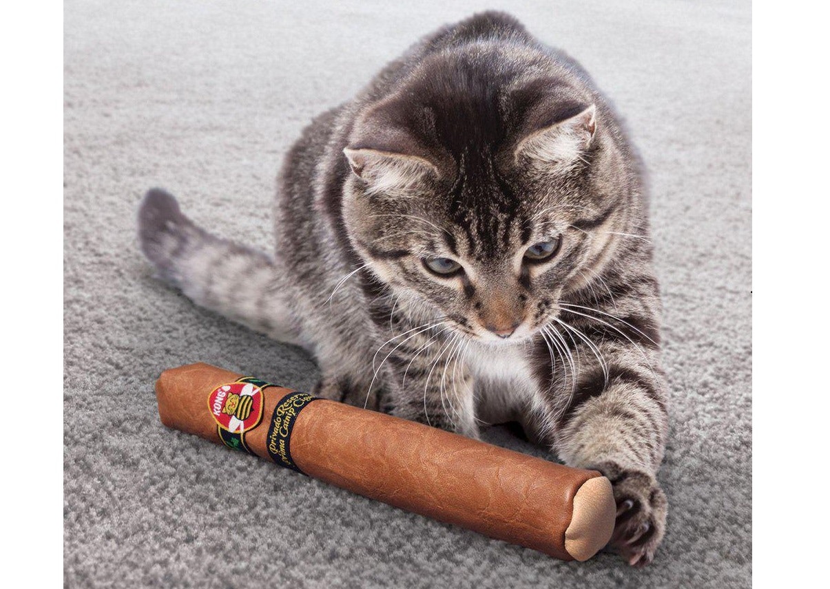 En katt som leker med Kong Better Buzz Cigar.