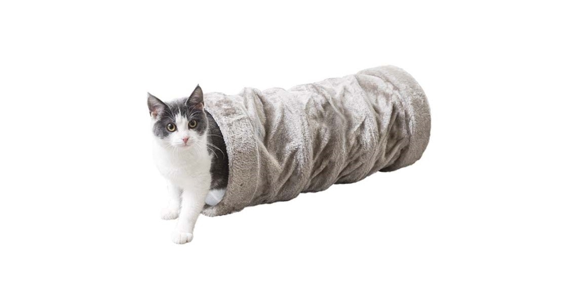 En katt som tittar ut ur en lektunnel.