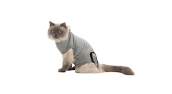Skyddande body för katt