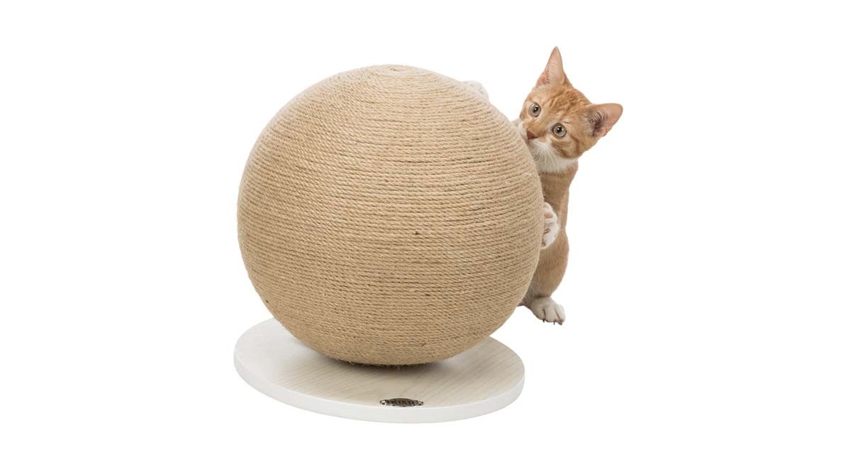 En katt som leker med en stor klösboll monterad på en platta.
